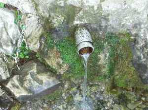 Fonte%20Ciliegio-Ridotta