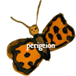 la farfalla di Perigeion