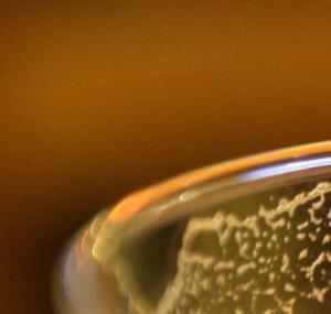 post-1-0-55473200-1365353651_thumb