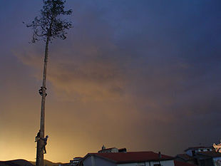 310px-Accettura_May_festival