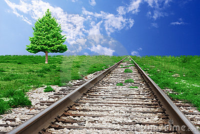 albero-di-pino-e-della-ferrovia-5199230