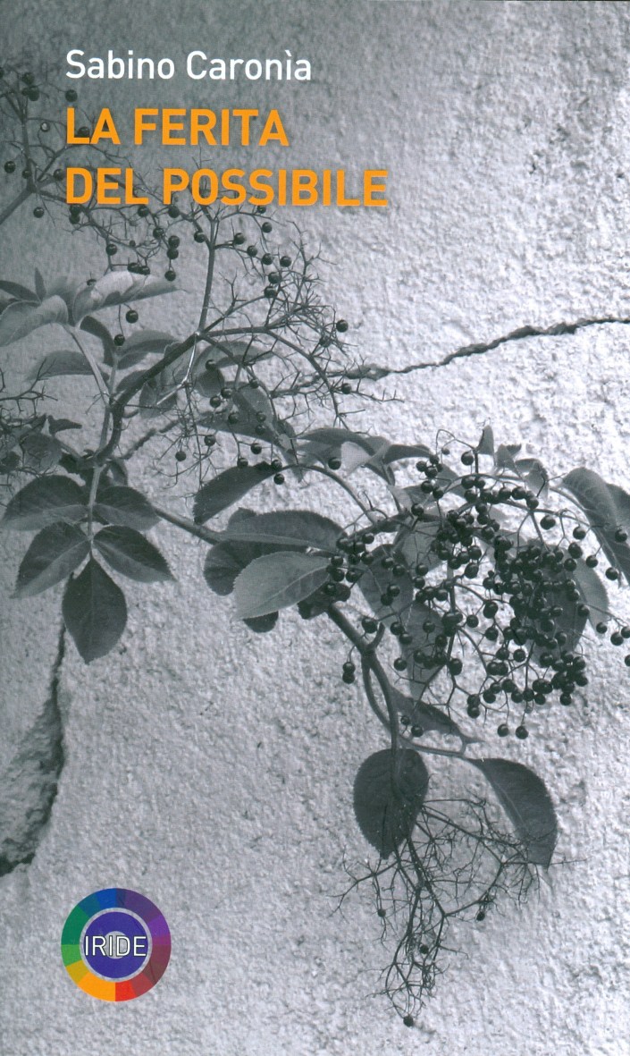 caronia_la-ferita-del-possibile_cop