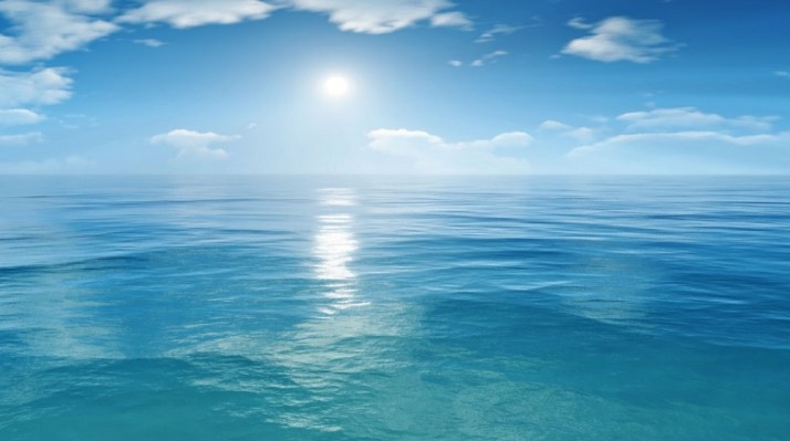 mare