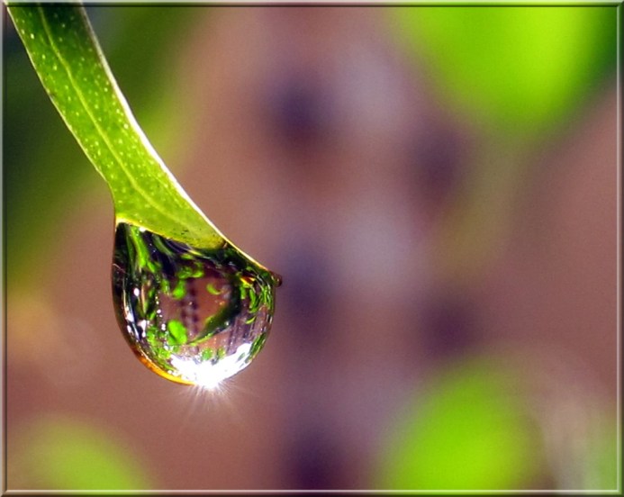 un-attimo-b7529214-4975-452d-b125-217e56d77663