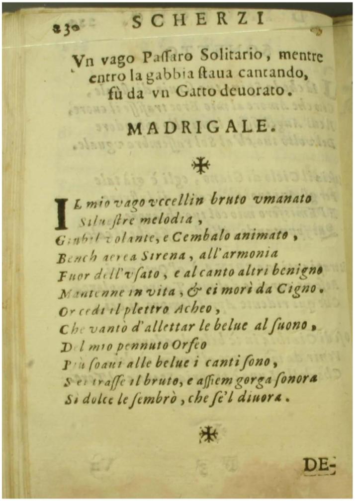 vago passero-page-001