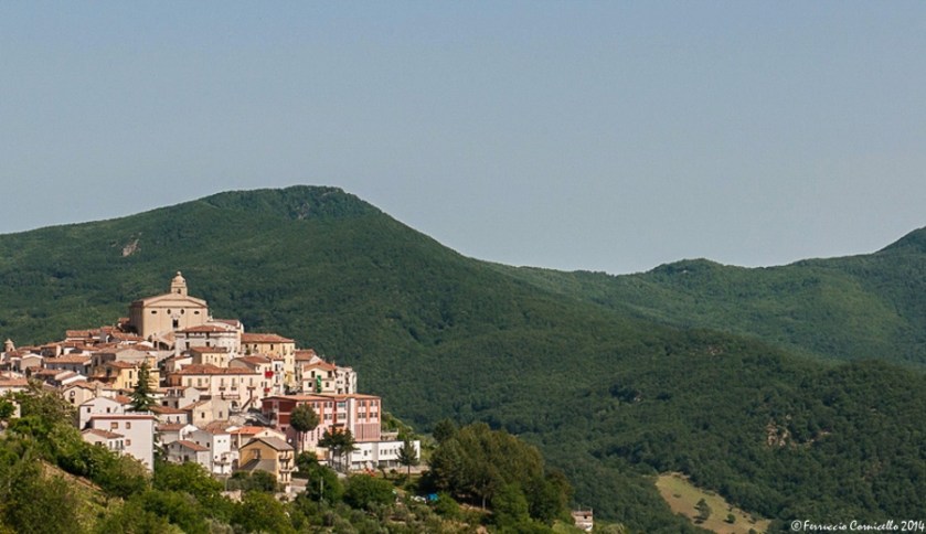 264_accettura_sud_italia-1-di-1