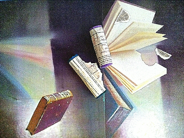 Marie Laure Colasson Libri in volo