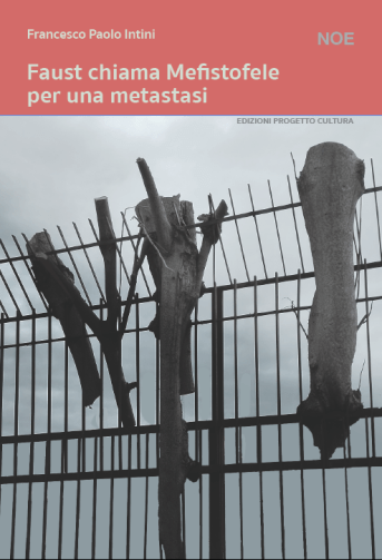 Francesco Paolo Intini Copertina